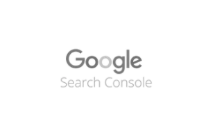 search-console